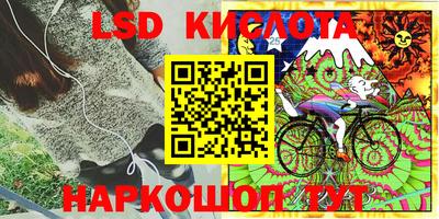 гашик Кинель