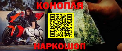 гашиш Кингисепп