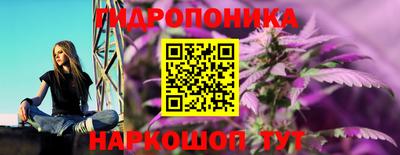 мет Кимры